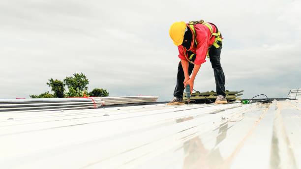 Best Roof Maintenance and Cleaning  in Mapleton, ND
