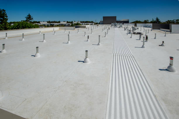 Best Roof Coating Services  in Mapleton, ND